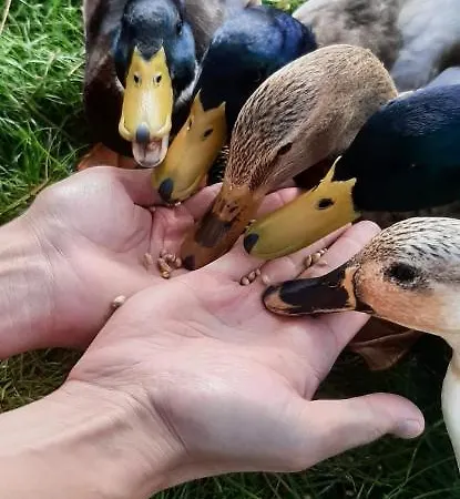 Chateau Cote De Nacre شقة *