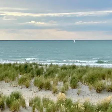 Chateau Cote De Nacre *