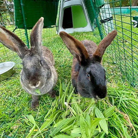 Chateau Cote De Nacre Appartement