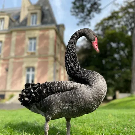 Chateau Cote De Nacre *
