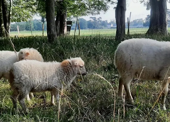 Chateau Cote De Nacre Apartment *