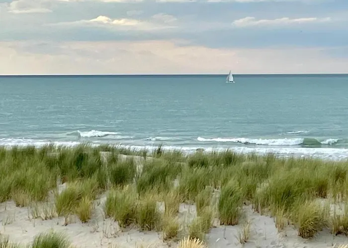 Chateau Cote De Nacre *