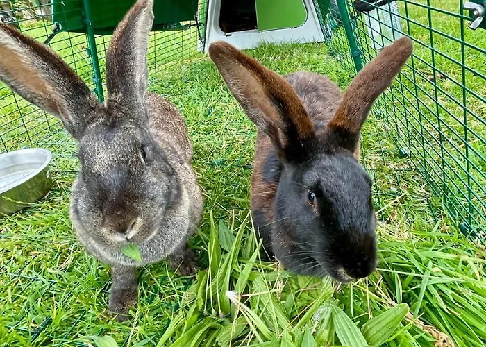 Chateau Cote De Nacre Apartment
